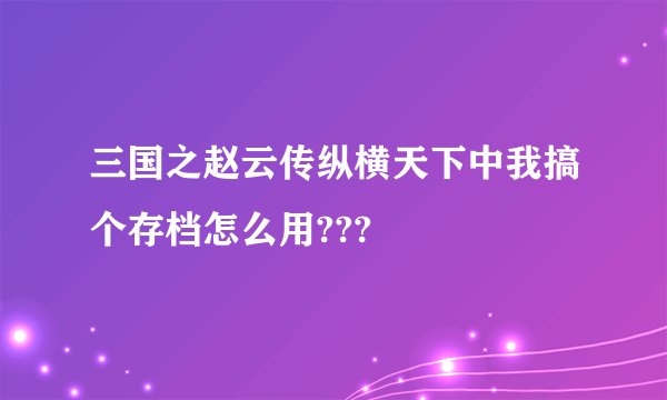 三国之赵云传纵横天下中我搞个存档怎么用???