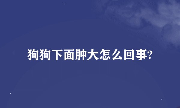 狗狗下面肿大怎么回事?