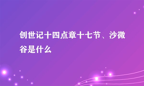 创世记十四点章十七节、沙微谷是什么