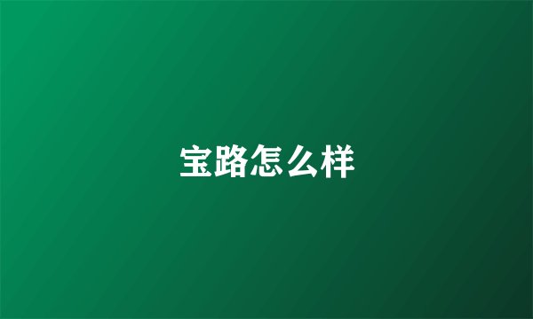 宝路怎么样