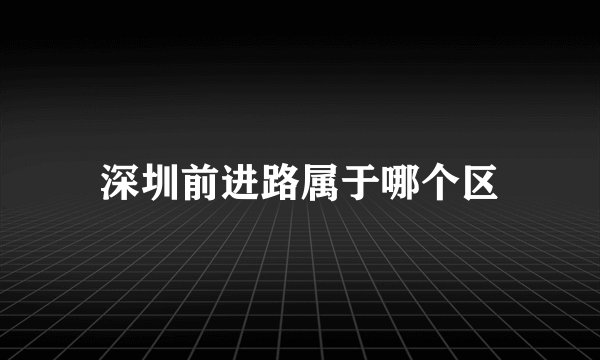 深圳前进路属于哪个区