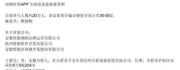 DW动物世界app崩盘