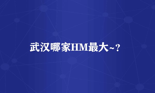 武汉哪家HM最大~？