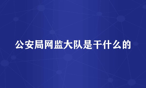 公安局网监大队是干什么的