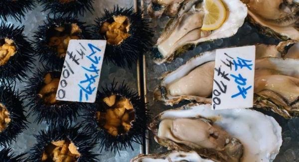 深扒 | 如何轻松搞定19.9元的日本三年多次签证