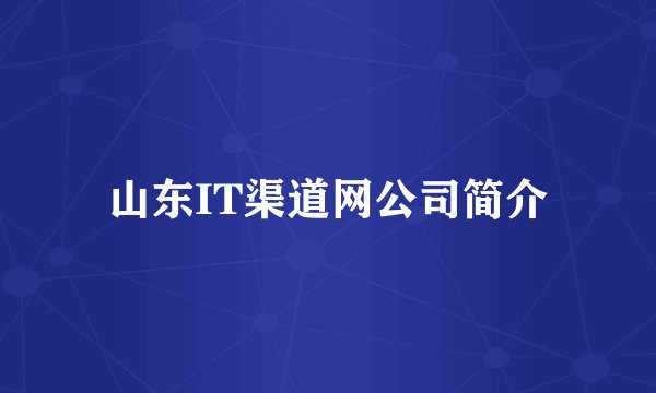 山东IT渠道网公司简介