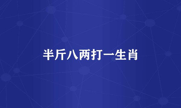半斤八两打一生肖