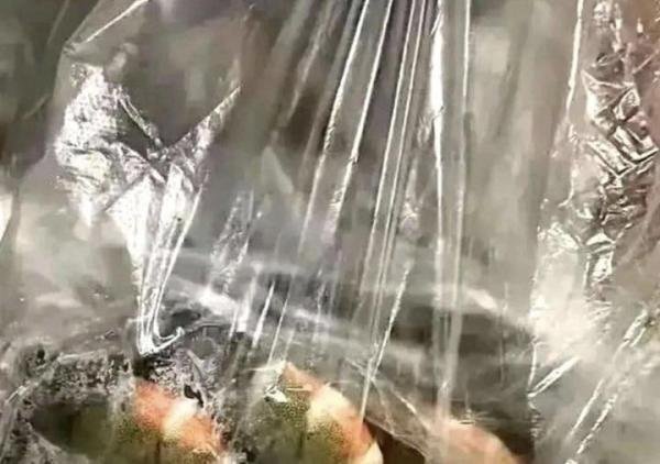 广东有多热？虾没到家就熟了 网友：省了烧烤架，可以露天烧烤