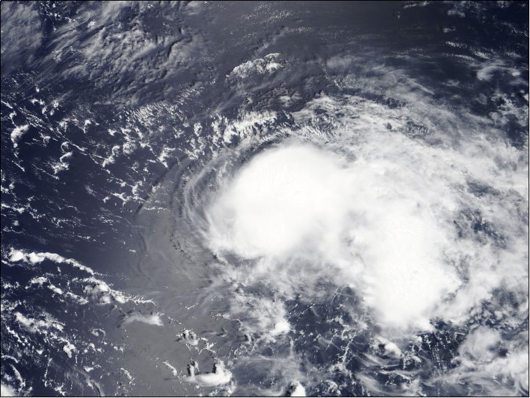 杜苏芮解散了吗