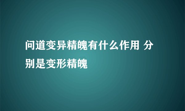 问道变异精魄有什么作用 分别是变形精魄