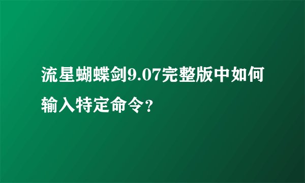 流星蝴蝶剑9.07完整版中如何输入特定命令？
