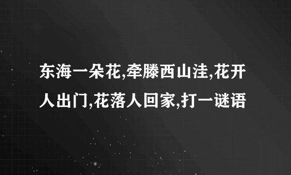 东海一朵花,牵滕西山洼,花开人出门,花落人回家,打一谜语