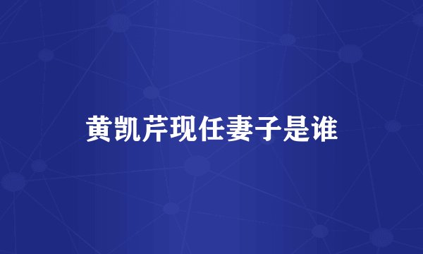 黄凯芹现任妻子是谁