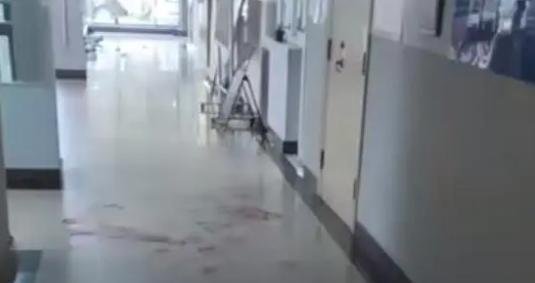 洛阳理工发生命案？三名学生身亡，校保卫处回应：与校外人员无关