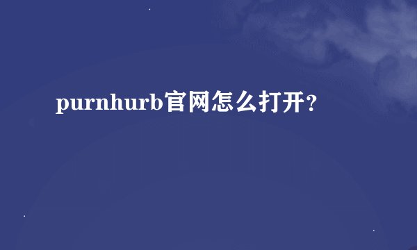 purnhurb官网怎么打开？