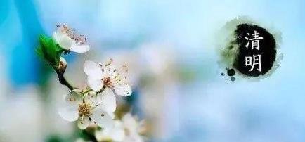 适合清明时节做的冷门小项目