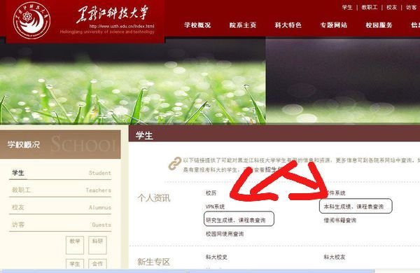 黑龙江科技大学成绩查询网址？