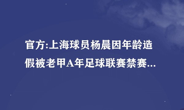 官方:上海球员杨晨因年龄造假被老甲A年足球联赛禁赛8年，至2026年末，你怎么看？