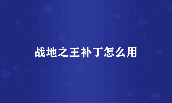 战地之王补丁怎么用