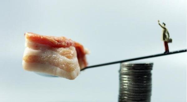 民航联盟：啥时能吃到平价猪肉？刘永好说明年中期以后有希望