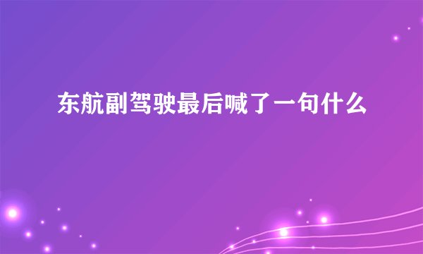 东航副驾驶最后喊了一句什么