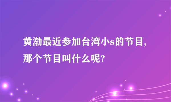 黄渤最近参加台湾小s的节目,那个节目叫什么呢?