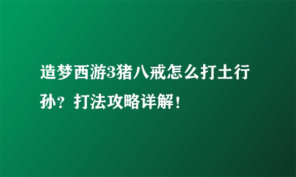 造梦西游3猪八戒怎么打土行孙？打法攻略详解！