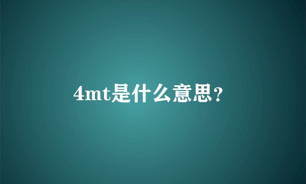 4mt是什么意思？