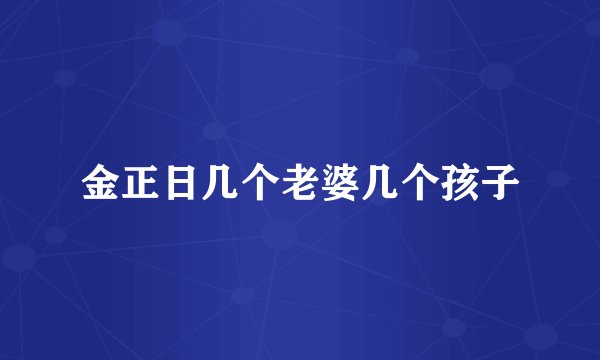 金正日几个老婆几个孩子