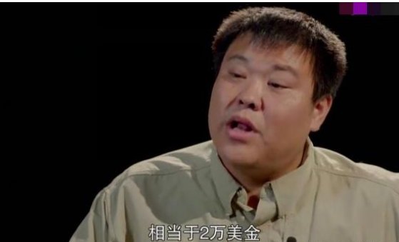 侣行为什么被罚款3亿?