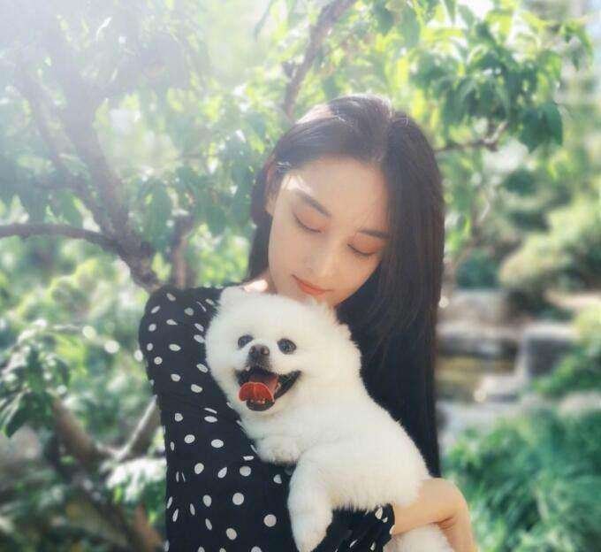 张馨予为何找狗？