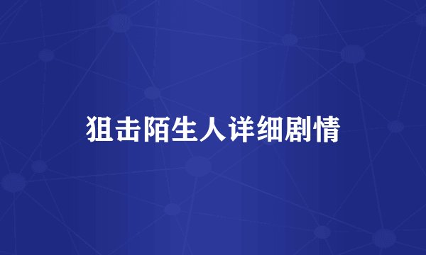 狙击陌生人详细剧情