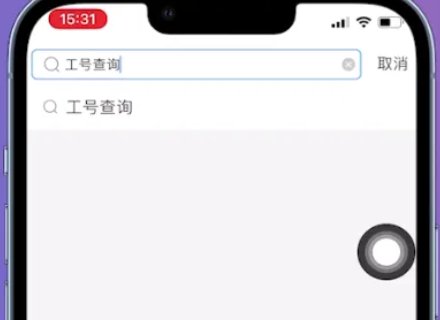 支付宝员工工号如何查询？