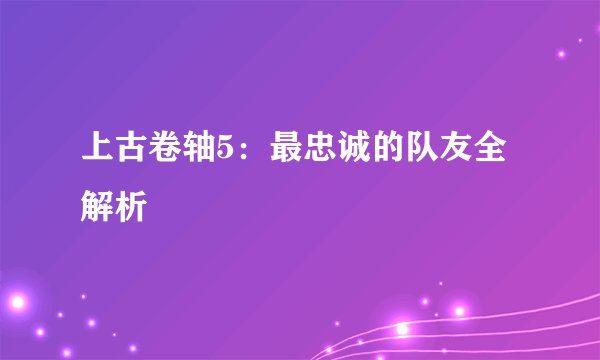 上古卷轴5：最忠诚的队友全解析