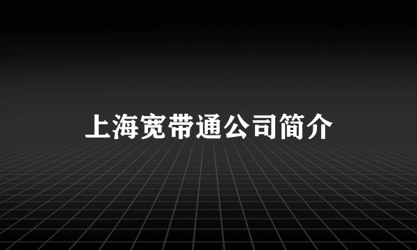 上海宽带通公司简介