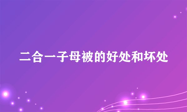 二合一子母被的好处和坏处