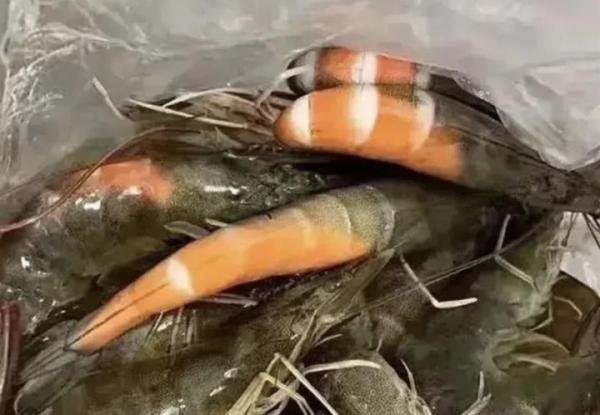 广东有多热？虾没到家就熟了 网友：省了烧烤架，可以露天烧烤