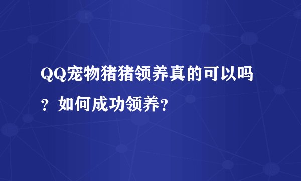 QQ宠物猪猪领养真的可以吗？如何成功领养？