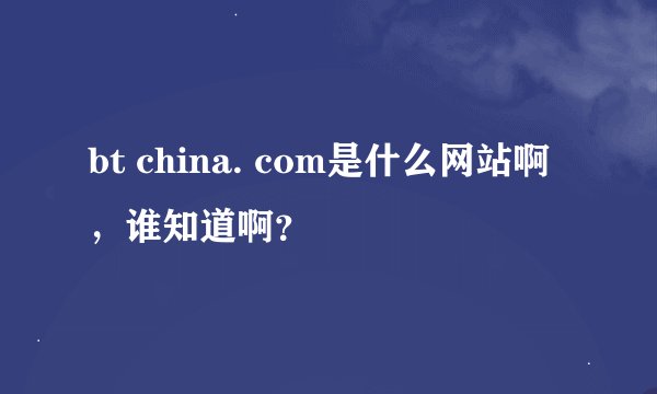 bt china. com是什么网站啊，谁知道啊？