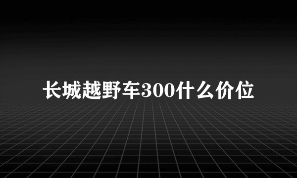 长城越野车300什么价位