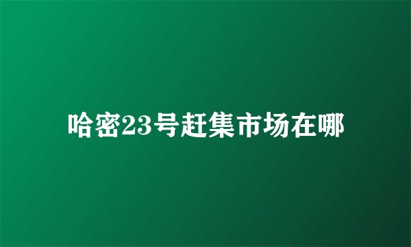 哈密23号赶集市场在哪