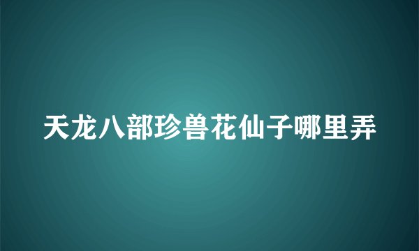 天龙八部珍兽花仙子哪里弄