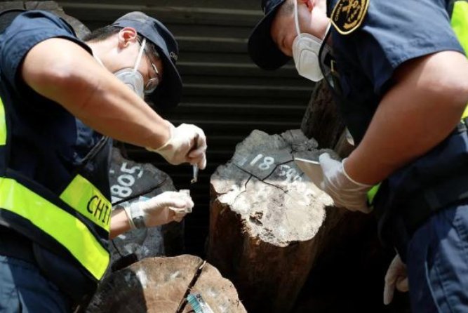 我国首次截获全球新物种蜚蠊，这种生物如果引进对我国的生态环境有何影响？