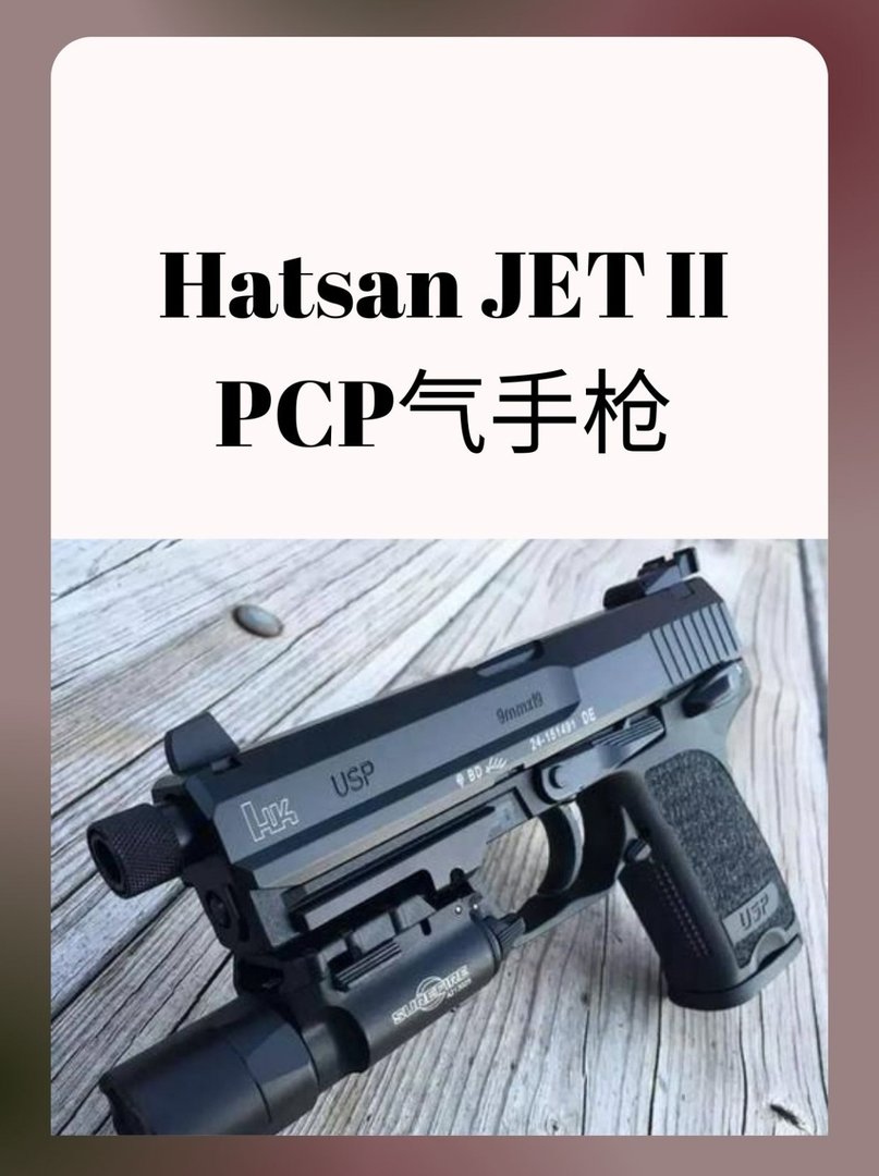 双气缸JETIIPCP气手枪