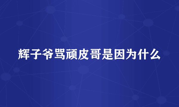 辉子爷骂顽皮哥是因为什么