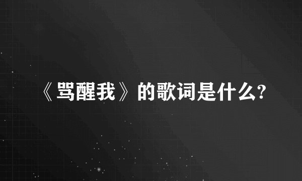 《骂醒我》的歌词是什么?
