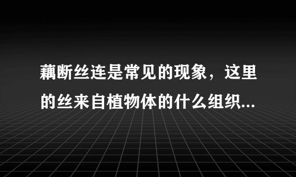 藕断丝连是常见的现象，这里的丝来自植物体的什么组织？A.保护组织B.营养组织C.分生组织D.输导组