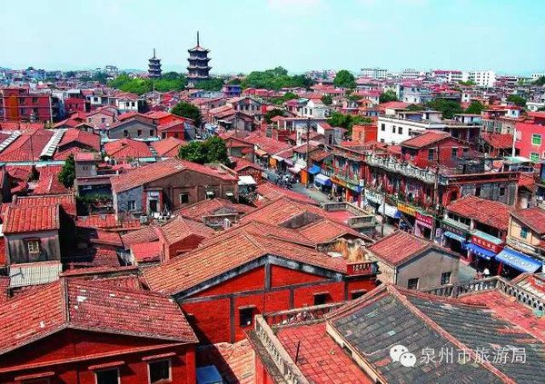 陈荣法的任免信息