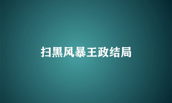 扫黑风暴王政结局