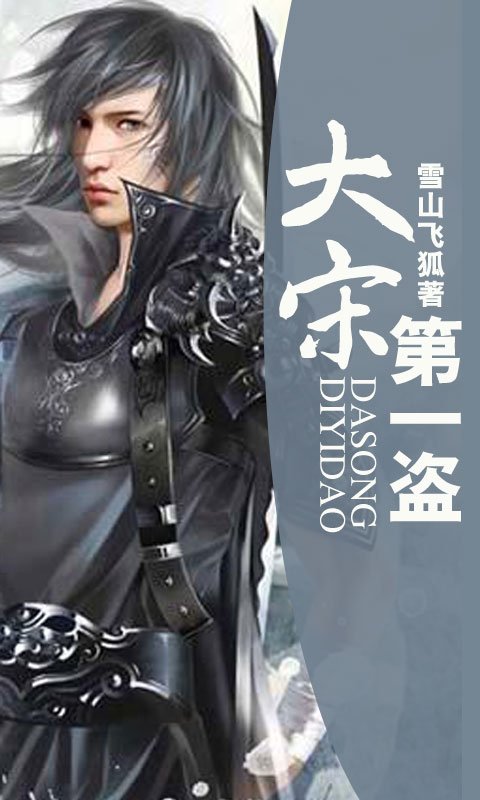 大宋第一盗的介绍